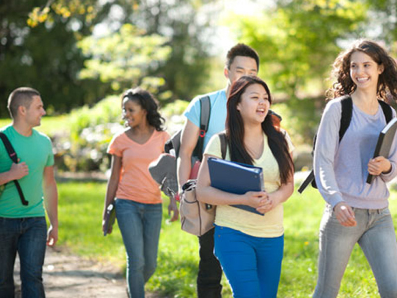 在线手机号呼死你