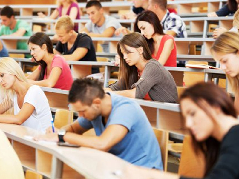 电话轰在线网页版入口